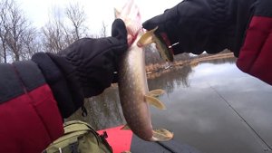 ЧЕЛЛЕНДЖ. Батл воблеров Kosadaka Intra VS Lucky Craft Classical Minnow. Закрытие лодочного сезона.