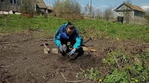 Народный улей Варрэ. Ландшафтный дизайн на пасеке. Кустарники