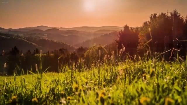 Тайна имени Максим смотреть онлайн