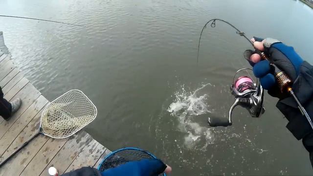 Рыбалка в Сенеже смотреть онлайн