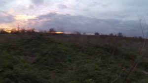 Охота с карабином сайга 12к на фазана