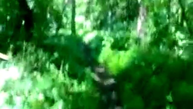 Crysis Avg 124 fps Ultra Settings смотреть онлайн