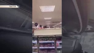 Бешеная чайка врезалась в лицо посетительницы супермаркета 