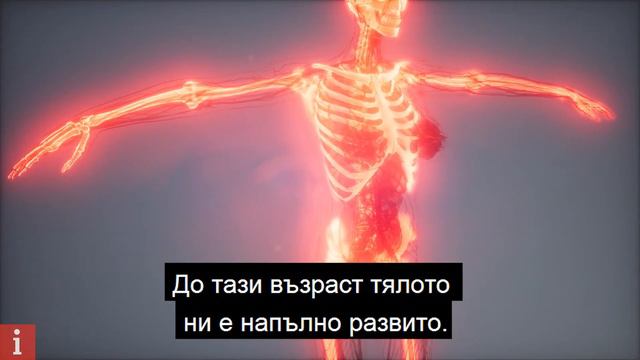 Защо Старите Хора Имат Голям Нос И Големи Уши смотреть онлайн