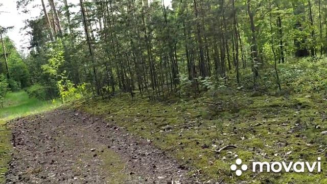 СКОЛЬКО СТОЯТ ДОМА В ЮРИНО?Нашла где транслируют смотрикомовцы//Памятник МЕТЛЕ.НАБЕРЕЖНАЯ РЕКИ ВОЛГ смотреть онлайн