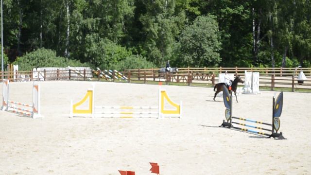 Конкур (маршрут до 60см КСК Пегас) Петин Максим Сергеевич/Донатор смотреть онлайн
