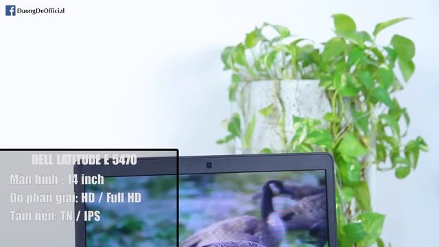Đánh giá Laptop Dell Latitude E5470 dưới 10 triệu có rất nhiều thứ cao cấp смотреть онлайн