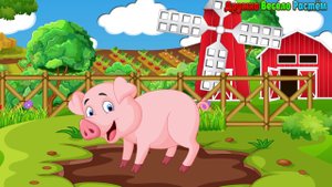 Загадки Детям про Животных - Поросёнок