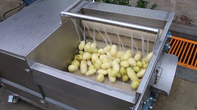 Машина мойки овощей щеточная (ММОЩ-300)