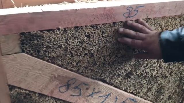 видео с производства. строительные панели из ржаной соломы и камыша Украина смотреть онлайн