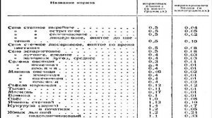 Сбалансированный суточный рацион для кролика