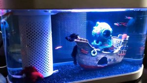 Самодельный Обогреватель Xiaomi для Aквариума - рыбки на само-обогреве?.