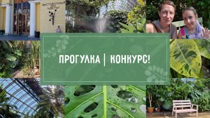 Прогулка в ОРАНЖЕРЕЮ Таврического сада. КОНКУРС!!