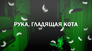 Рука, гладящая кота (документальный, реж. Егор Осинцев, 2022 г.)