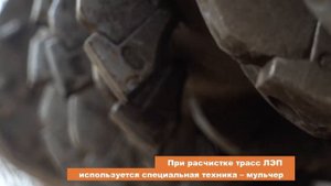 Расчистка просек ЛЭП