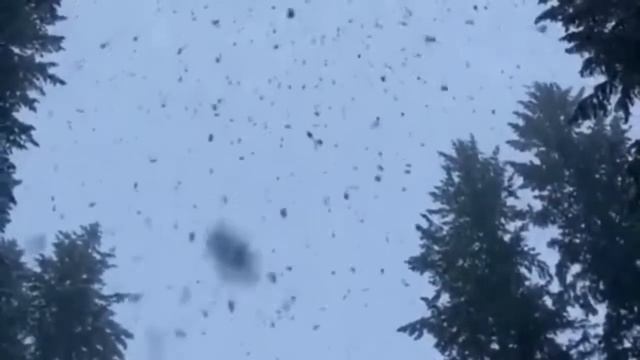 ?//Идеи для подарков на Новый год//? смотреть онлайн