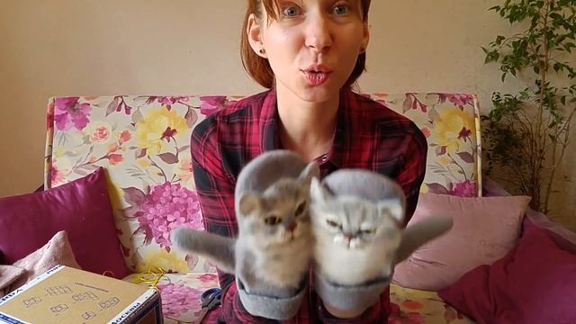 Рукоделие - Варежки МУРЗИК и Валяние из шерсти смотреть онлайн