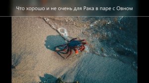 ОВЕН + РАК совместимость в любви - на что фокусироваться
