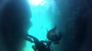 Дайвинк Мексика