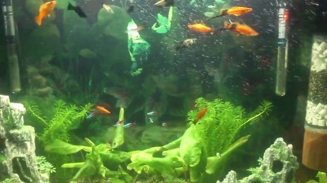 фильтр своими руками смотреть онлайн