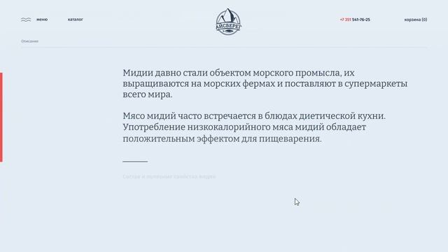 ZG_Концепция сайта сети рыбных магазинов Айсберег смотреть онлайн