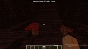 где можно достать нарост из незера в майнкрафте