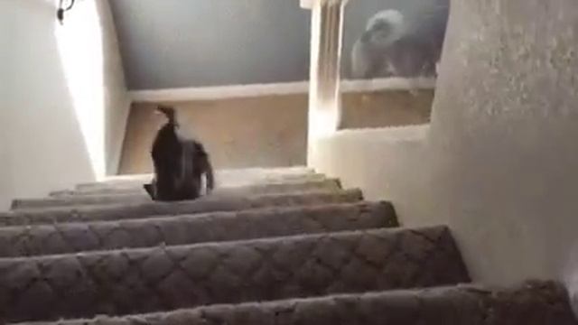 Как я поднимаюсь по обычной лестнице смотреть онлайн