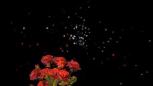 Футажи Делаем футажи Программа "Видео Шоу"