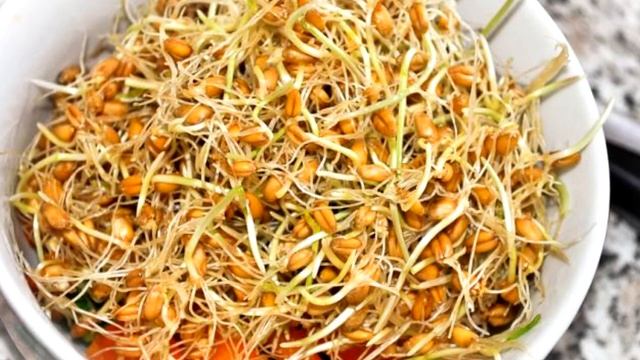 Пророщенная пшеница - Чем полезна пшеница и чем она багата?