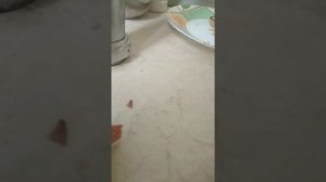 Как правильно есть оладьи? Видео урок