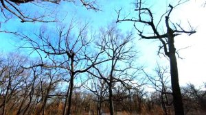 Корявый фристайл на FPV дроне