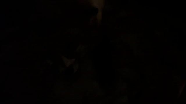 Алиса - лиса. Спит на кухне смотреть онлайн