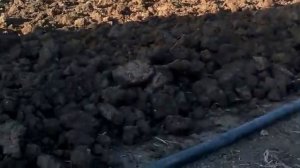 Вспашка  мотолебедкой