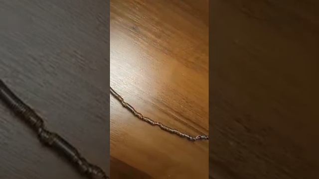 обзор петли из троса 2мм. плетением 7×7, и антипрогрыза от Александра из Смоленской обл. смотреть онлайн