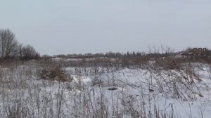 Охота с РПГ Добычем на зайца русака  05 02 2021