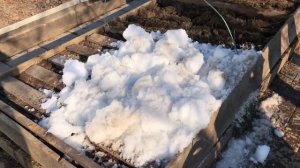 Как покончить с работой в огороде уже в июне и ждать урожай?