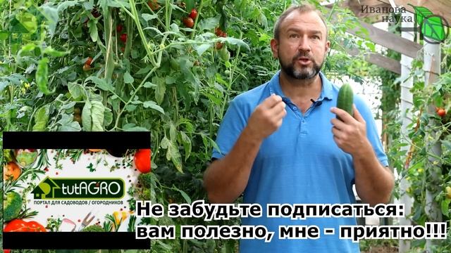 КАК УМЕНЬШИТЬ АППЕТИТ В ДОМАШНИХ УСЛОВИЯХ и ПЕРЕСТАТЬ ОБЖИРАТЬСЯ. смотреть онлайн