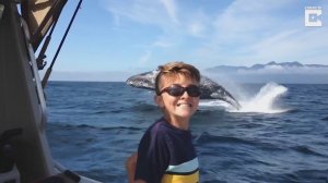 Селфи на фоне огромного кита