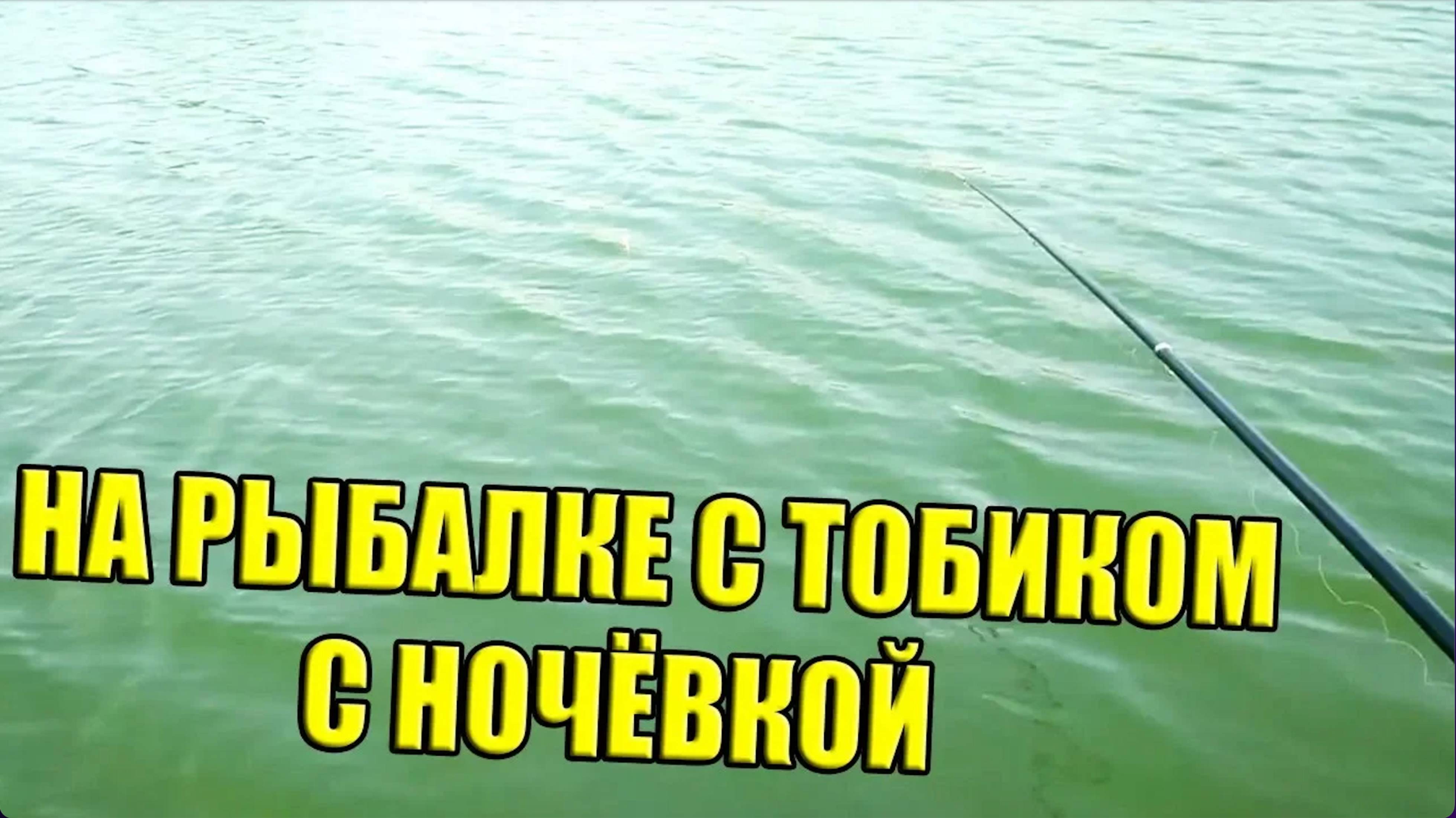Вовка на рыбалке. 2019. Ловля раков. Рак укусил кошку за губу. Волкмикс.