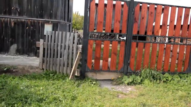 Сантьяго Полдневая / Деревня и её калорит / Пошли в дикое поле / Грибы - эмоции!