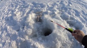 ЗИМНЯЯ РЫБАЛКА . РЫБАЛКА НА ОЗЕРЕ ЧАНЫ