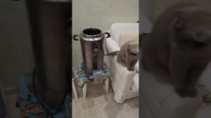 Автоклав ВЕЙН 23л. Готовлю домашнюю тушенку из баранины в реторт пакетах.