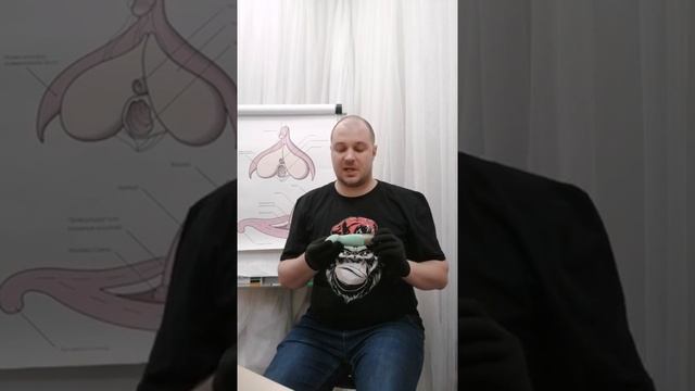 Пульсатор многопрограммный Sundaze смотреть онлайн