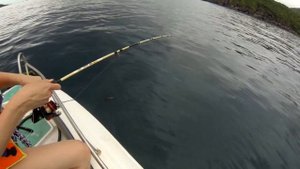 Рыбалка во Вьетнаме 2017. Морская рыбалка в Нячанге.