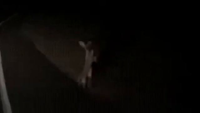 Зверское избиение)))) смотреть онлайн