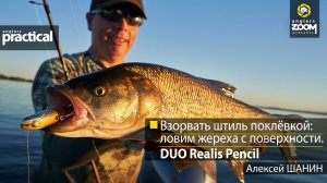 Взорвать штиль поклёвкой: ловим жереха с поверхности. DUO Realis Pencil. А.Шанин. Anglers Practical