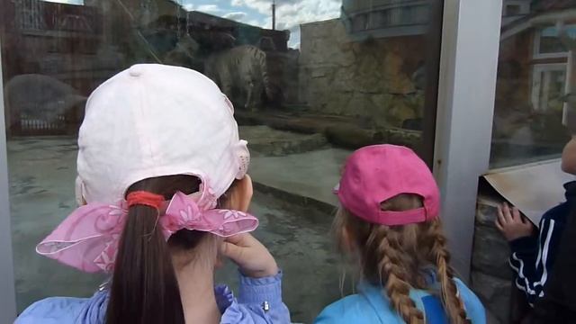 Екатеринбург зоопарк 9 смотреть онлайн