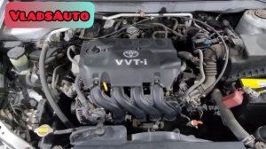 TOYOTA Corolla Fielder, 2004 г в полный разбор