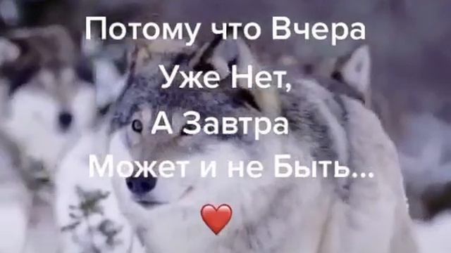 Карышкырлар