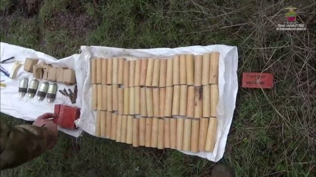В Запорожье нашли крупный схрон с оружием бывшего боевика ВСУ